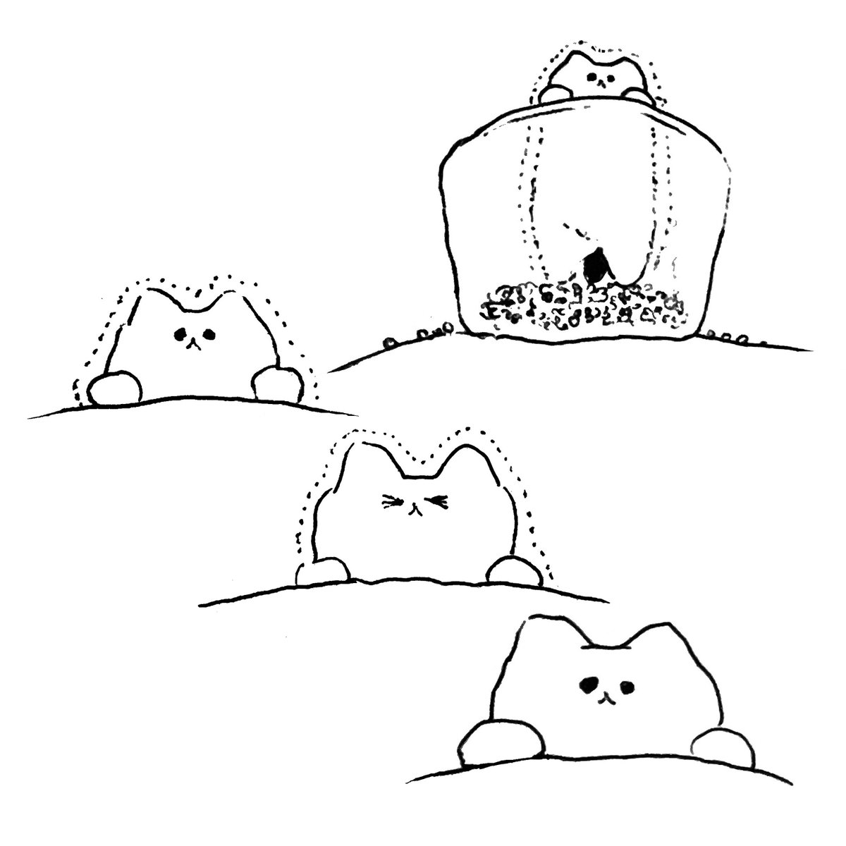 ねこ 