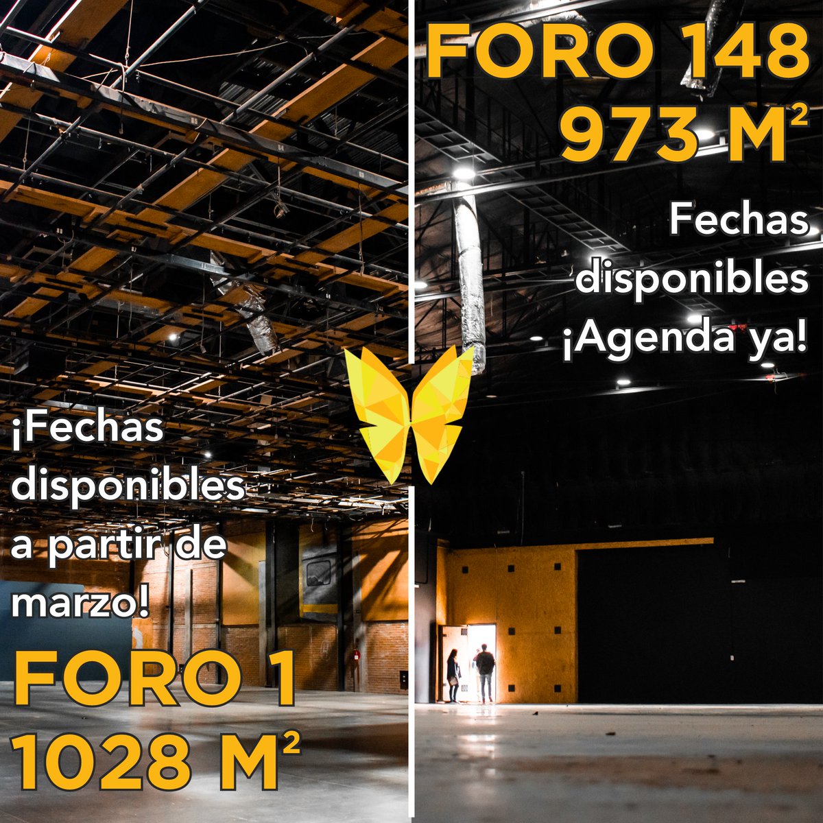 🎬📢 ¡Nuestros foros más grandes están de vuelta! 📢

Reserva tu espacio y haz realidad tu producción con nosotros. 🎥✨ ¡Ya tenemos fechas disponibles!

📩 Solicita tu cotización hoy mismo.
📞 Más info: 55 8011 1566