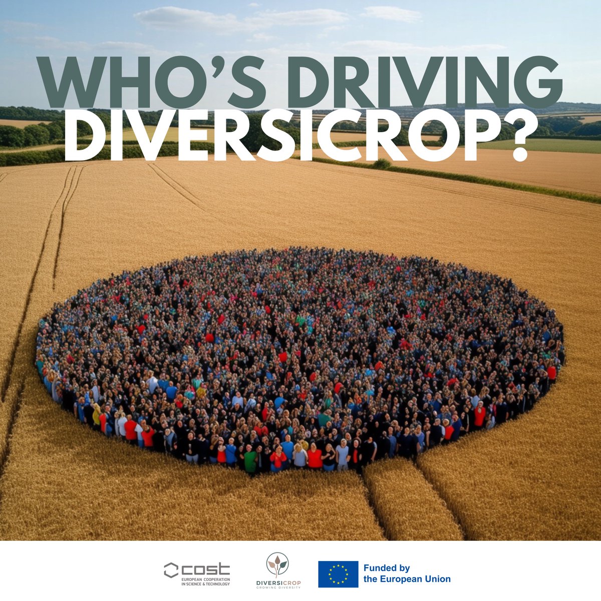 DIVERSICROP is about the people behind it: 

📈 387 Participants from 54 Countries
🌍 Top Countries: 🇹🇷 Turkey, 🇷🇸 Serbia, 🇪🇸 Spain
🌱 ITC Participation: 70.54% | 🧑‍🔬 Early Career Researchers: 41.60%

Shaping the future of food systems and sustainability.
