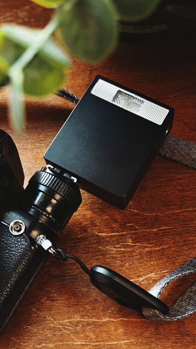 Dan Rubin tweet media