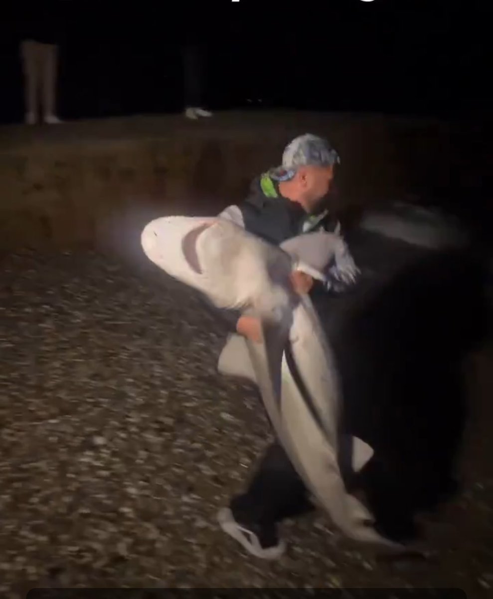 “makalenin şu kısmından alıntı cümleyi bir yazayım kaynağını eklerim” dedin ve şimdi o kaynağı bulamıyorsun