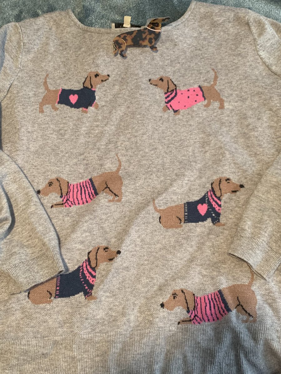 SnugglesEmily's tweet photo. When your hair clip matches your sweater! I was very excited to find this hair clip at Target as it matched my dachshund dog sweater from Cracker Barrel I got for my birthday! 🐕 🐶 
#doglover #dachshund #weeniedog #sweaterweather #sweater @target @crackerbarrel #ilovedogs https://t.co/A5aeGDD3dw