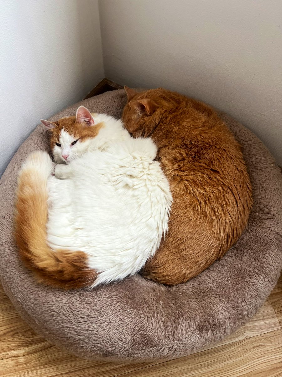 La luz que alumbra mi existencia. 🥹❤️