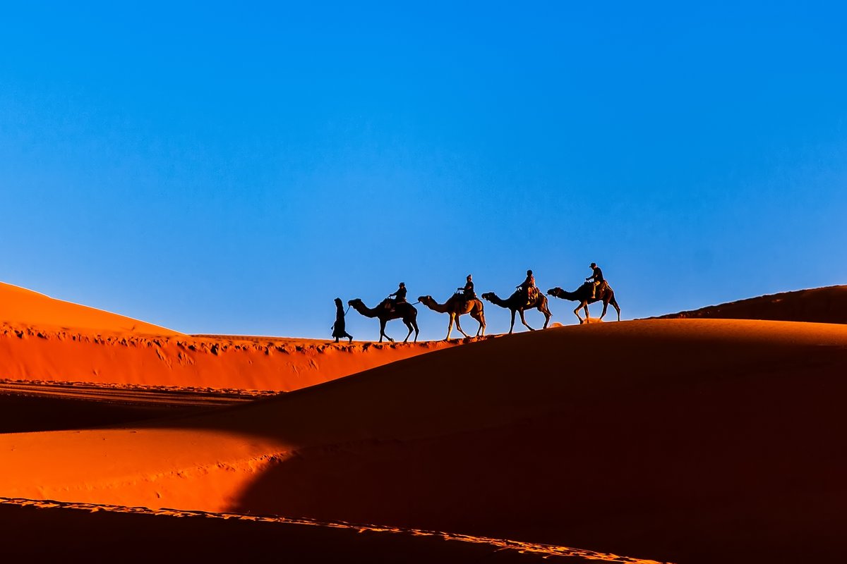 Just collected this wonderful photo by <a href="/LeslieASpurlock/">lesliespurlock.sol | NFT.NYC 2024 🏴‍☠️</a> 🖤

 remx.xyz/leslie-a-spurl…