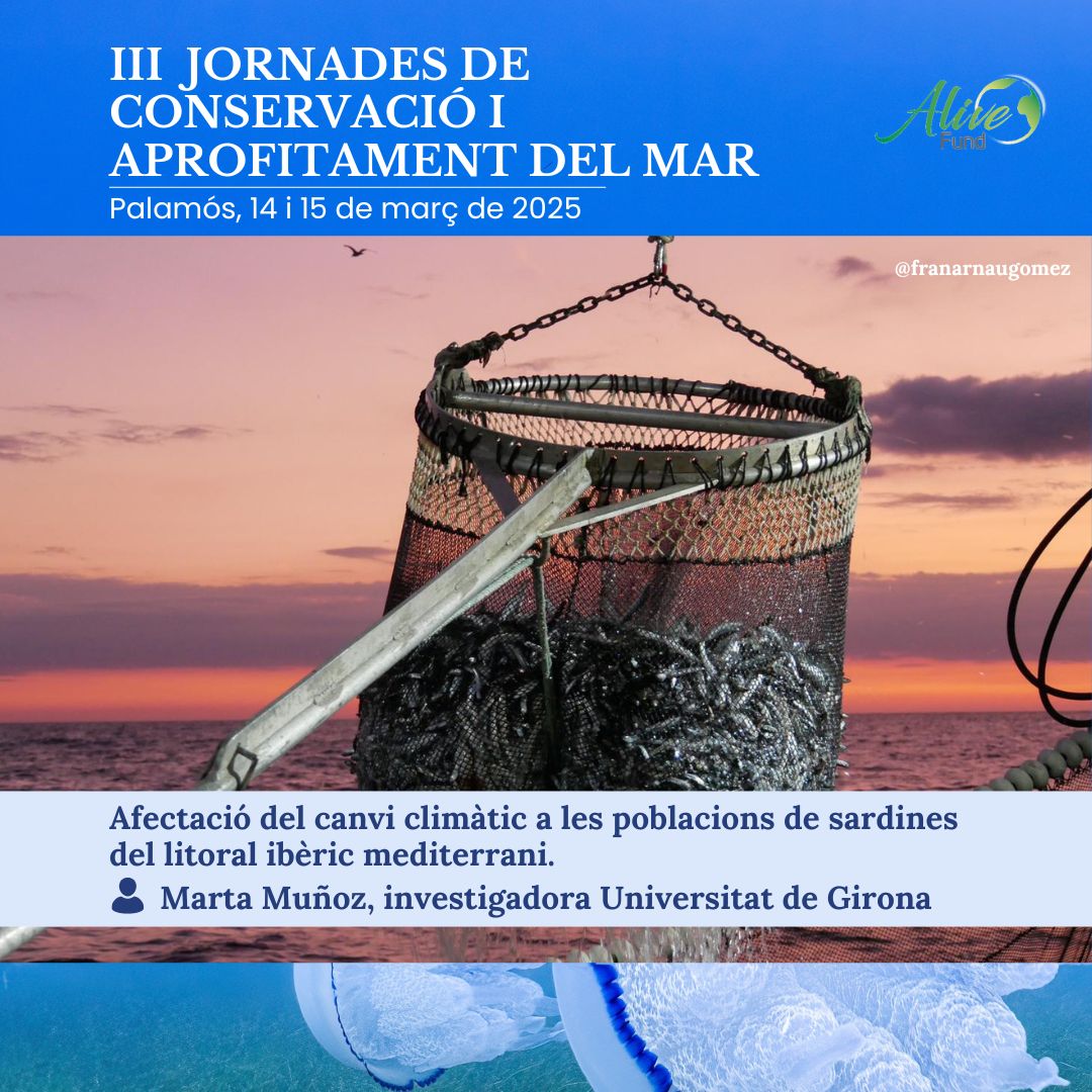 Alive Fundació (@fundacioalive) on Twitter photo A més de l’impacte de la pesca, la sardina també pateix l’increment de temperatures del mar com a conseqüència del canvi climàtic. Ens ho explicarà la investigadora de la <a href="/GRMAR_UdG/">GR MAR_UdG</a> , Marta Muñoz, a les #IIIJornadesMarAlive25 que celebrarem a Palamós. A més de l’impacte de la pesca, la sardina també pateix l’increment de temperatures del mar com a conseqüència del canvi climàtic. Ens ho explicarà la investigadora de la <a href="/GRMAR_UdG/">GR MAR_UdG</a> , Marta Muñoz, a les #IIIJornadesMarAlive25 que celebrarem a Palamós.