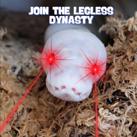marshmallow_py's tweet image. The luckiest, legless meme coin is about to hatch… and you don’t wanna miss it! 
💬 Join our Telegram Chat now and chill - don’t wait ‘til it’s too late, join the LEGLESS DYNASTY!
👉 t.me/marshmallow_py
$MELLOW #MellowThePython #YearOfTheSnake  #EarlyDegenMoves