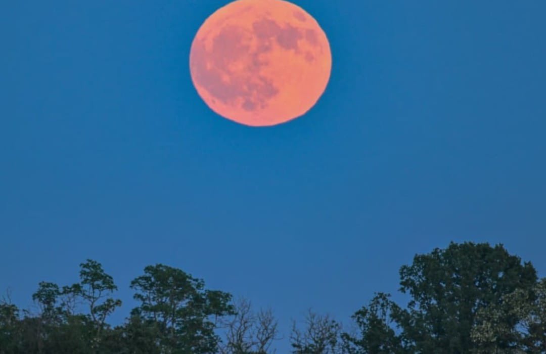 Nach dem Abend folgt die Nacht. Auch das ist ein beruhigender Anblick. 🌙🌕
#Bremerhaven