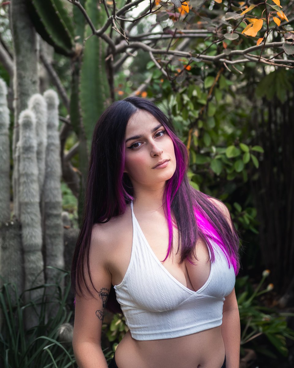 Raquinoya tweet media