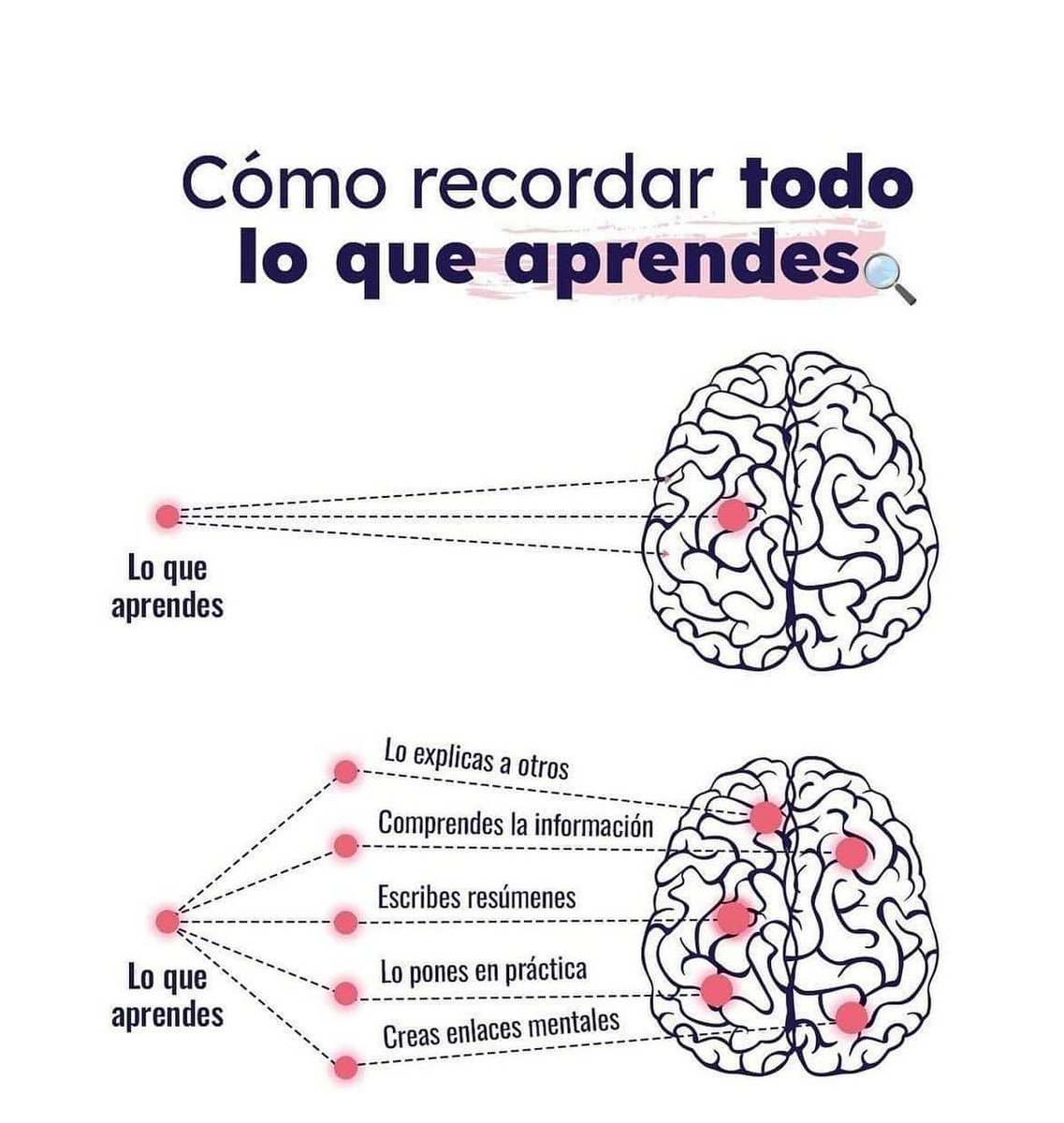 EnsedeCiencia's tweet photo. Dato del día 🤓 https://t.co/id2rc7bmlZ
