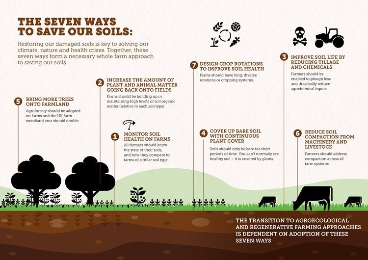 Uncover the 7 ways to save our soils. 🌱

via <a href="/SoilAssociation/">Soil Association</a>
