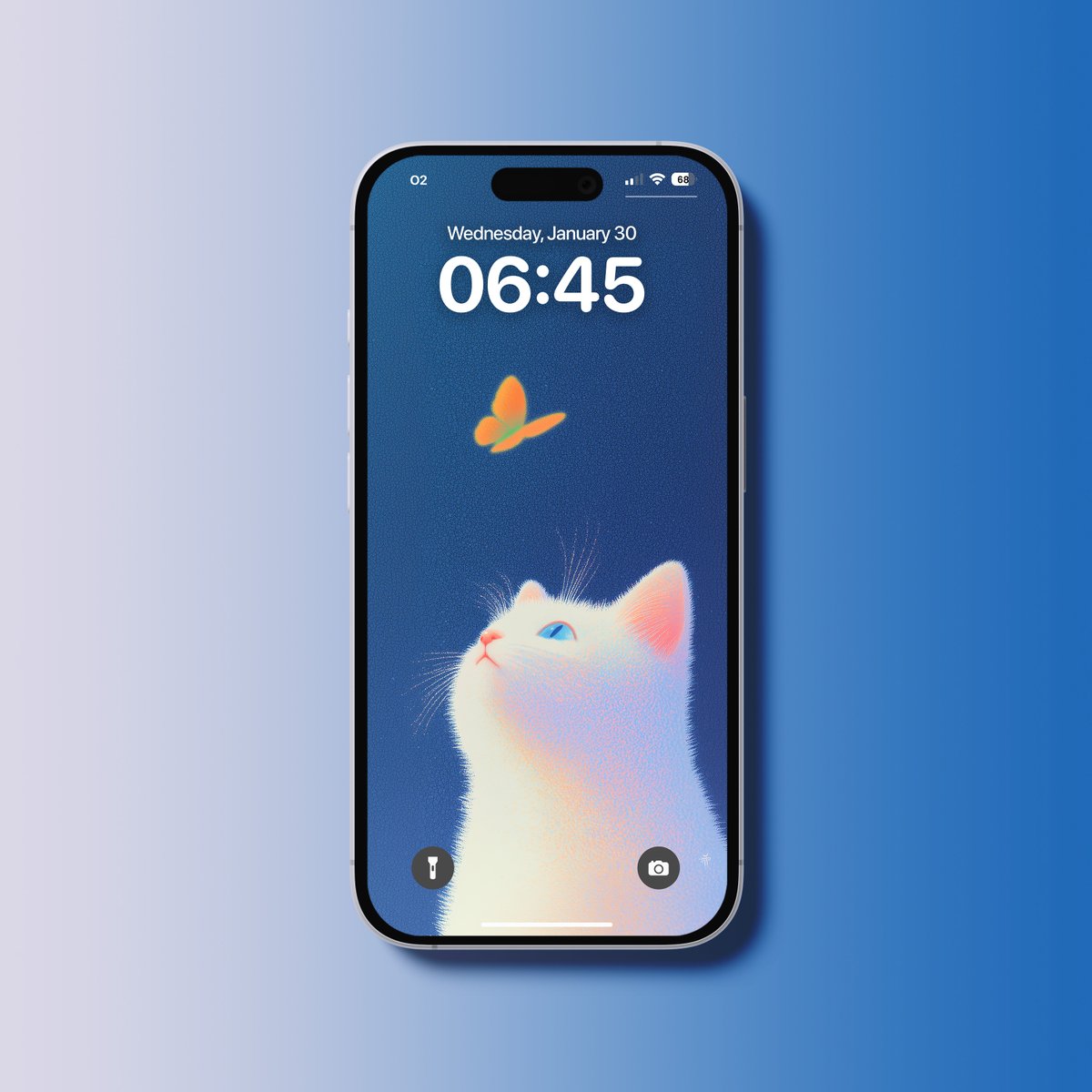 ohmy_wall's tweet photo. Cat https://t.co/IUBNiKB6MO