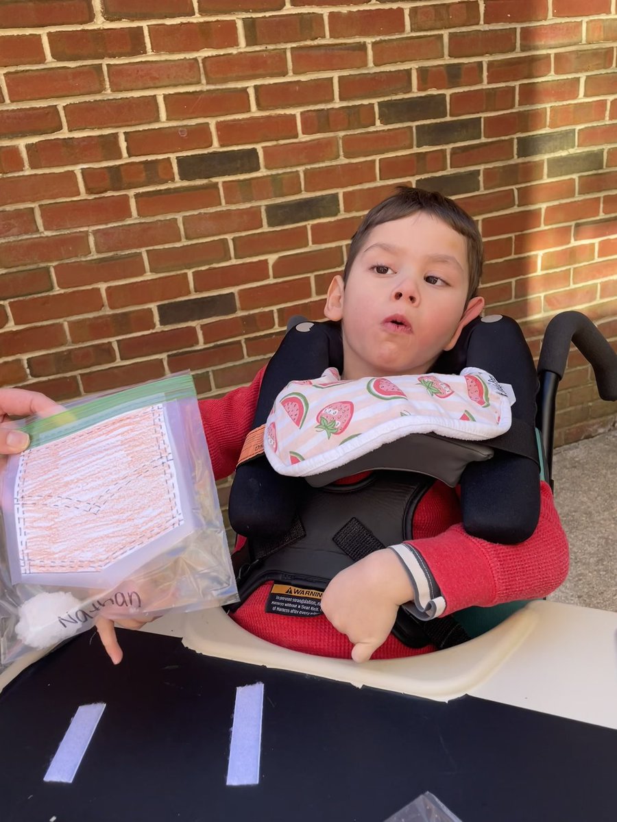 Marissa Mulholland tweet media