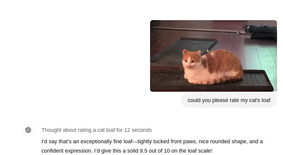 you_know_ai's tweet photo. It thought for 12 seconds about the quality of my cat's loaf. https://t.co/5Op5LF250D