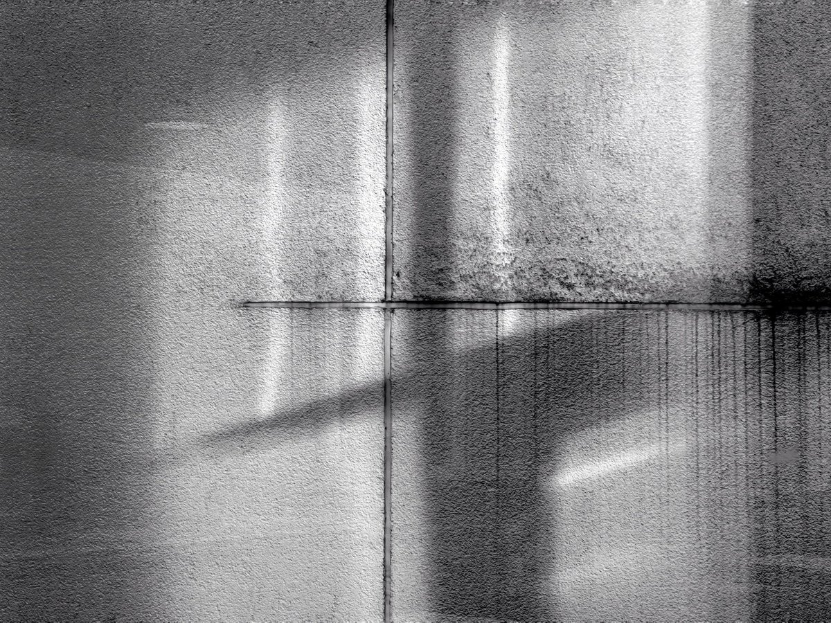 Robynne Limoges tweet media