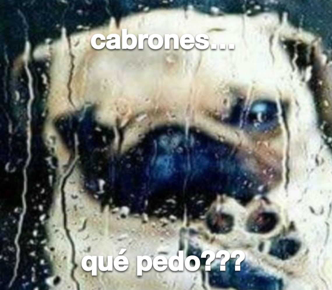 emociones amarillas (@conoloracigarro) on Twitter photo 