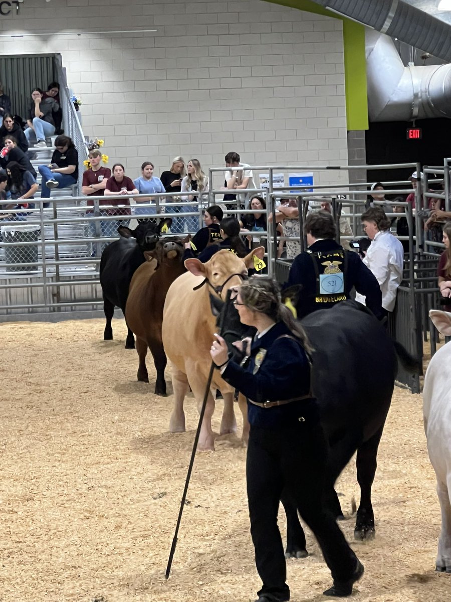 A big #LOBONATION salute to our <a href="/langham_ffa/">Langham Creek FFA</a> students who competed  today! Tremendous amount of hard work and dedication goes into taking care of these beautiful animals! #lifelessons #powerofthepack <a href="/langhamcreekhs/">Langham Creek High</a> <a href="/CyFairISD/">Cypress-Fairbanks ISD</a>