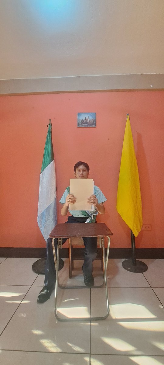 Aprobación de la constitución brándesa que entra en vigor de a partir de hoy 30 de enero del 2025