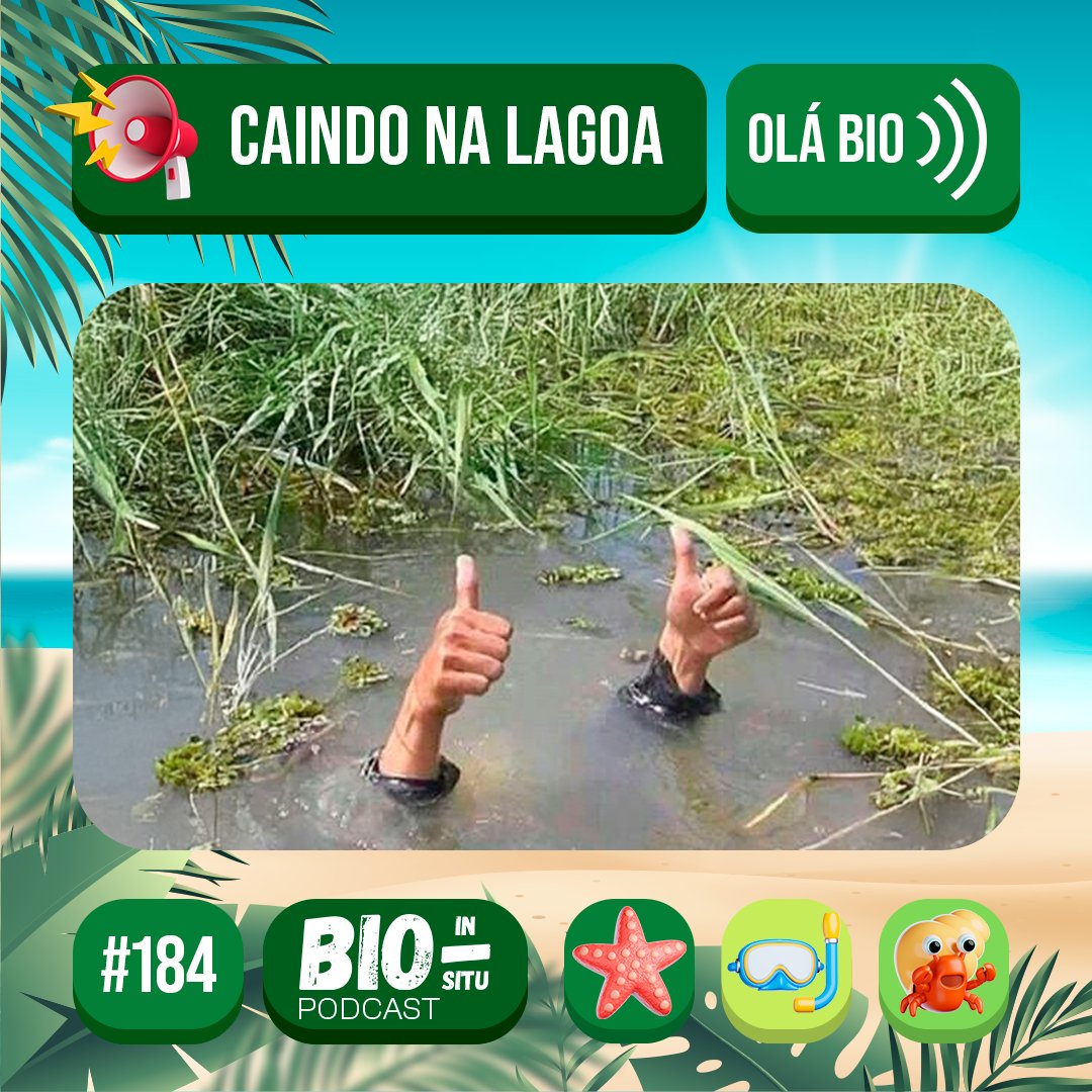 bioinsitu's tweet photo. Olá, bio-ouvintes!

Continuando as nossas férias, agora é a vez da @sementes_da_lu bioescritora na revista Bio In Situ, contar sobre uma saída de campo do laboratório dela e quando ela quase voltou pra casa sem nenhum incidente.

#trabalhodecampo #pesquisacientifica #perrengue https://t.co/PBSHxzpPM4