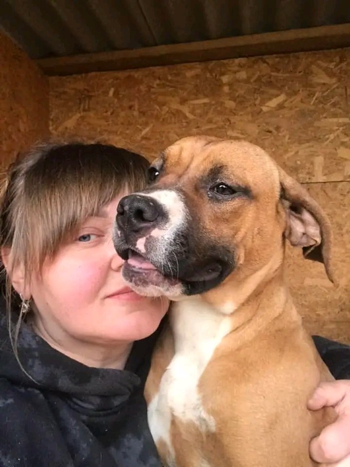 kherson_animal_'s tweet photo. #pet #petlovers #pets #pet #petlife #petfriendly  #petrescue #petoftheday #petfood #petsrescue #rescueanimal #rescuedogsofinstagram #rescuetpet #rescuepuppies #adoptdogs #adoptdontshop #animalslover  #savepet https://t.co/UU640Z8D9z