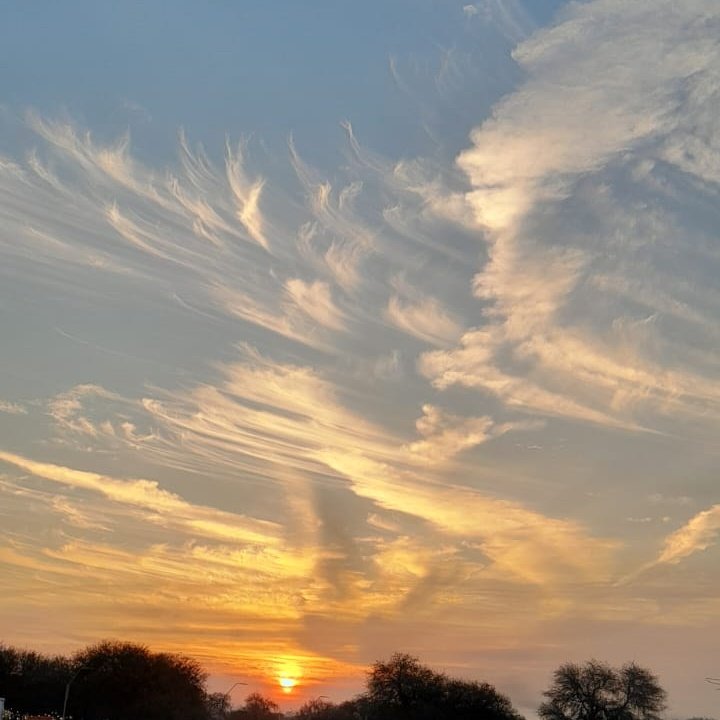 jogapi's tweet image. #NuevaFotoDePerfil