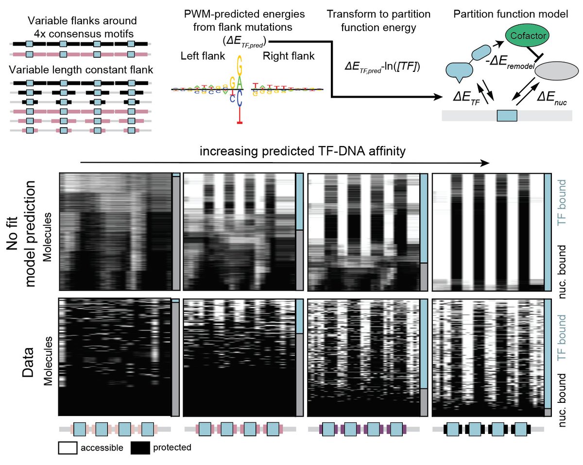 Emil Marklund tweet media