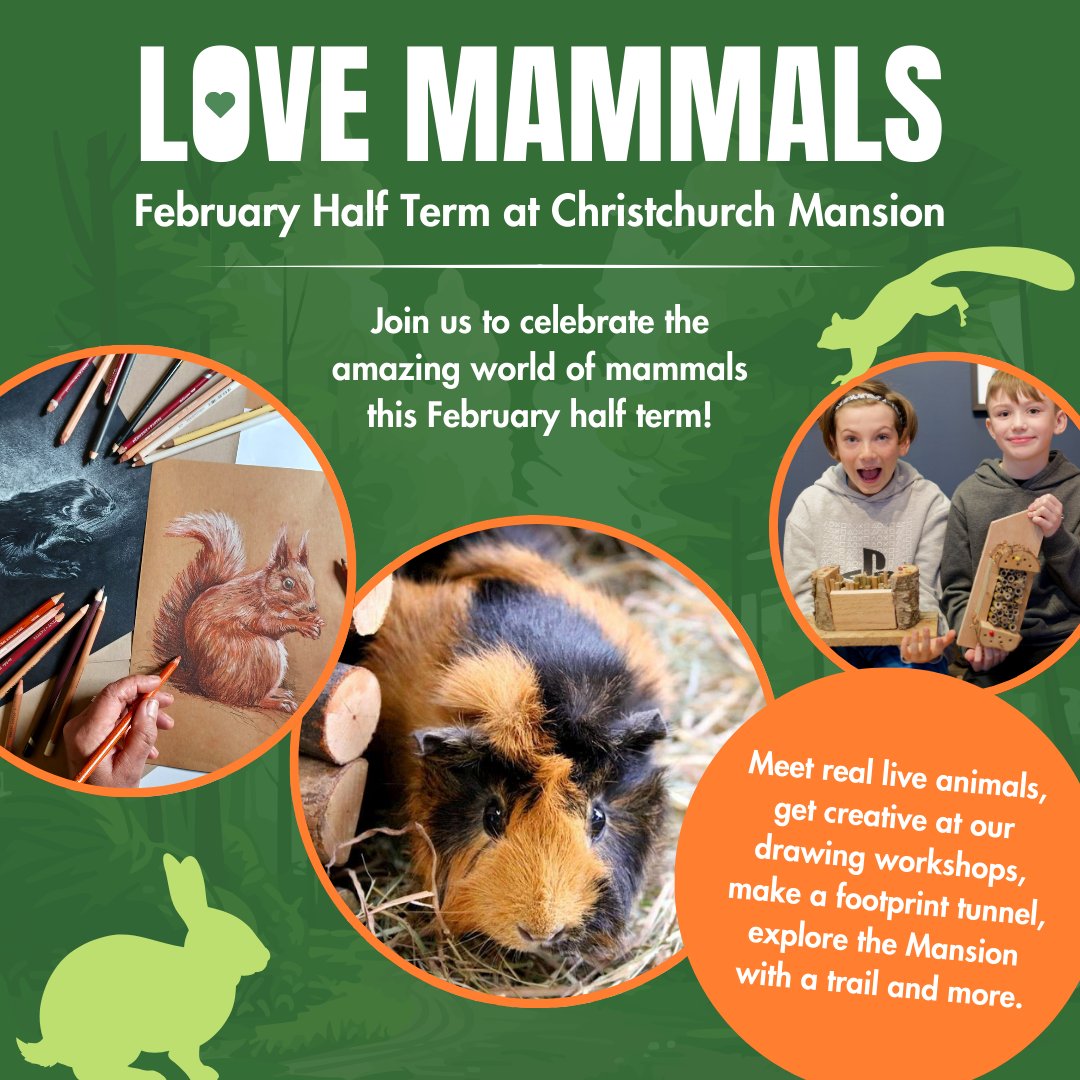 Visit Christchurch Mansion this February half term &amp; enjoy animal-themed activities for all the family! 🦔

Meet real live animals, get creative at a drawing workshop, learn how to identify mammals in your garden by their footprints + more.

See what's on: ipswich.cimuseums.org.uk/events/