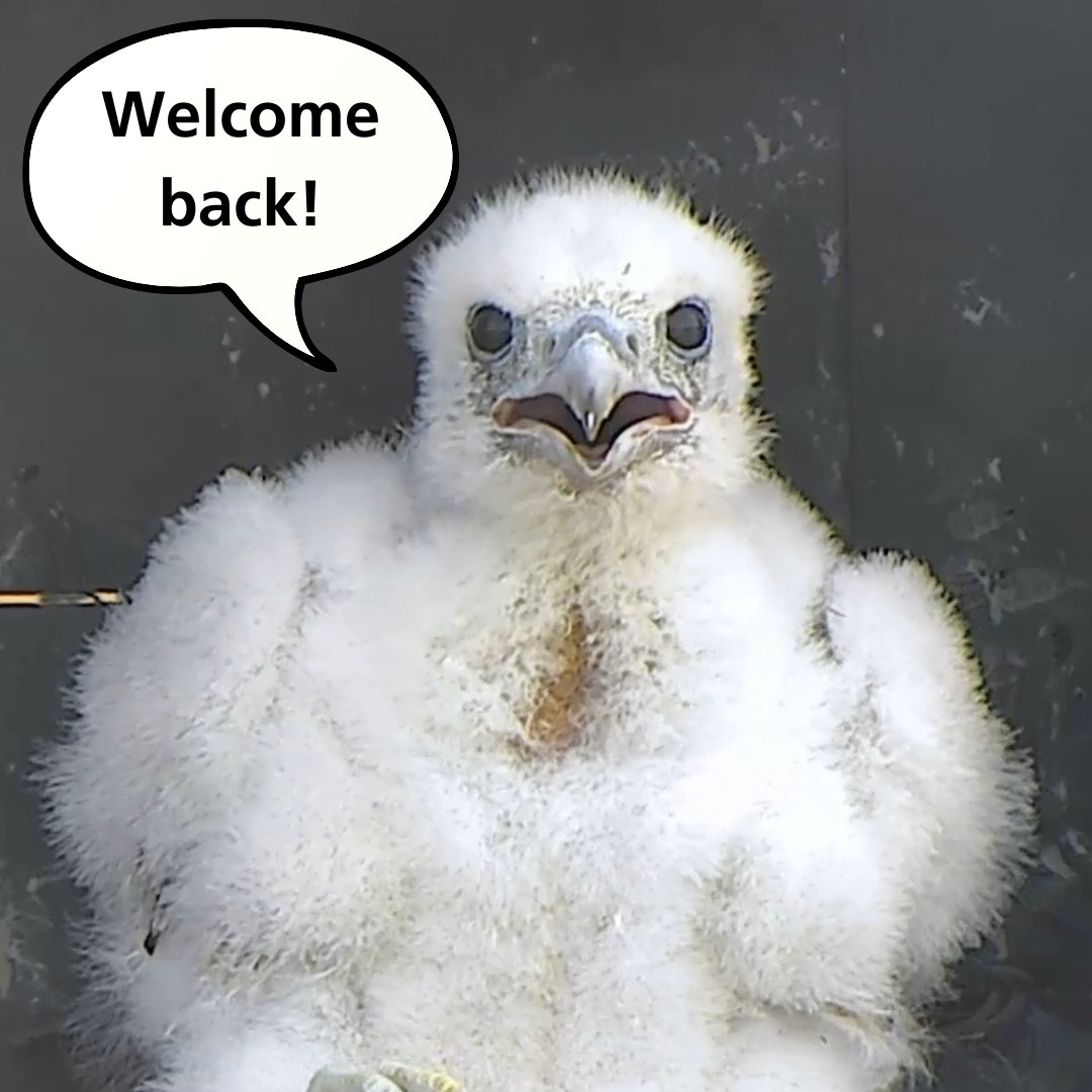 Welcome back, UMass! We're excited to have you back on campus and in the Libraries!