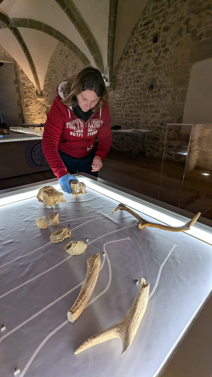 [ #DANSLESCOULISSES ]
En janvier, la fermeture au public permet à notre chargée des collections de réaliser le dépoussiérage des objets du musée. 🏰 Cette mission est très important car elle permet de préserver les #collections des risques de dégradation.
#Mayenne_Ville #musée