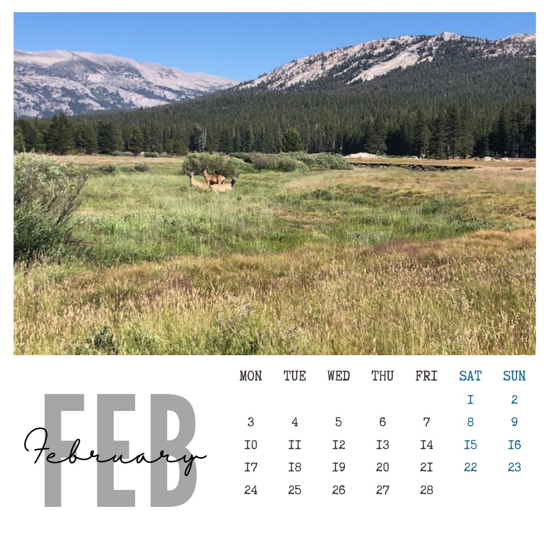 Check out LACO's February Calendar!
Photo taken by former LACO Associate Surveyor, Daniel Cicchetto. A beautiful view of wildlife in Yosemite National Park.