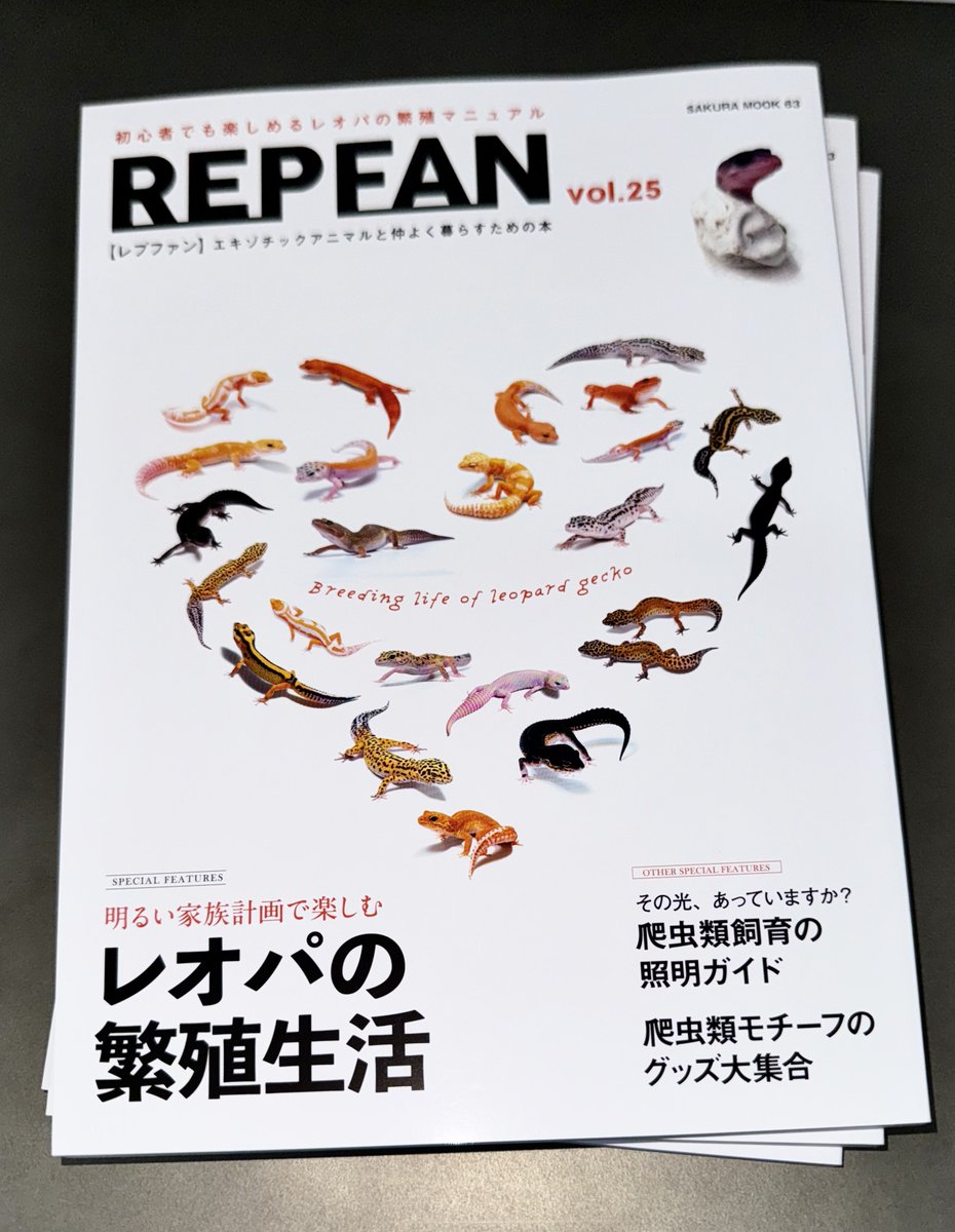 REPFAN vol.25 入荷いたしました。 本号より自著連載、探訪の軌跡内に