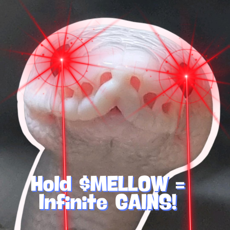 marshmallow_py's tweet image. 🚨 $MELLOW IS LIVE! 🚀🐍
The luckiest token of the year has officially launched!
🍀 Hold $MELLOW and let the fortune, prosperity, and good vibes flow!
📜 CA: 7NVt5wG1aRdvr2v7WeVxnyMRLpQKPUByZU9PYqahpump
🔥 Don't miss your chance to get in early! The python is coiling… and…