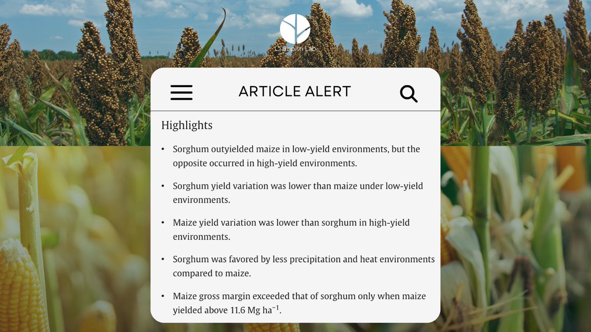 #ArticleAlert🚨
This study analyzed the environments where sorghum outperforms maize and viceversa from productive and economic perspectives. Using maize-sorghum hybrid trials across 13 locations in Kansas. 

📲Read article: bit.ly/4hBtZJF