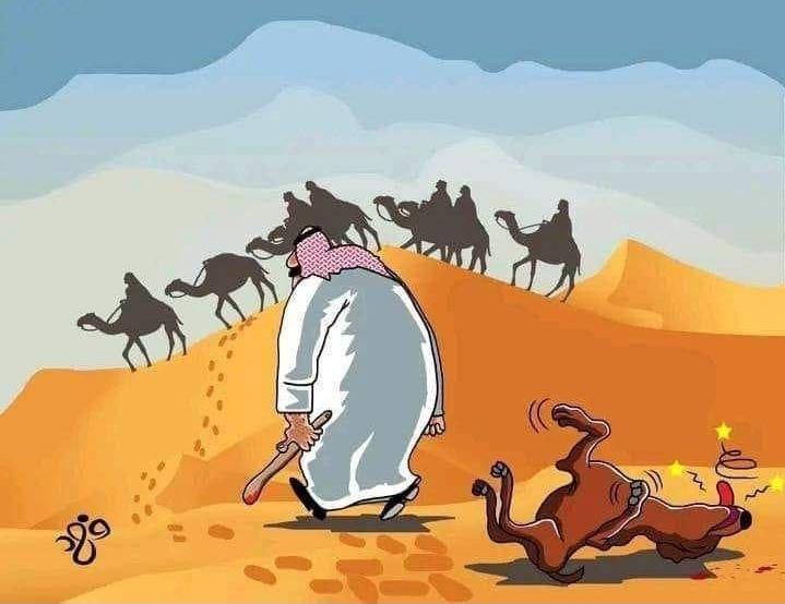 لا تدع الكلاب تنبح ورائك بحجة القافلة تسير ...
إركن القافلة ولقن الكلاب درسا ثم واصل المسير
#سوريا #جباليا #كتائب_القسام