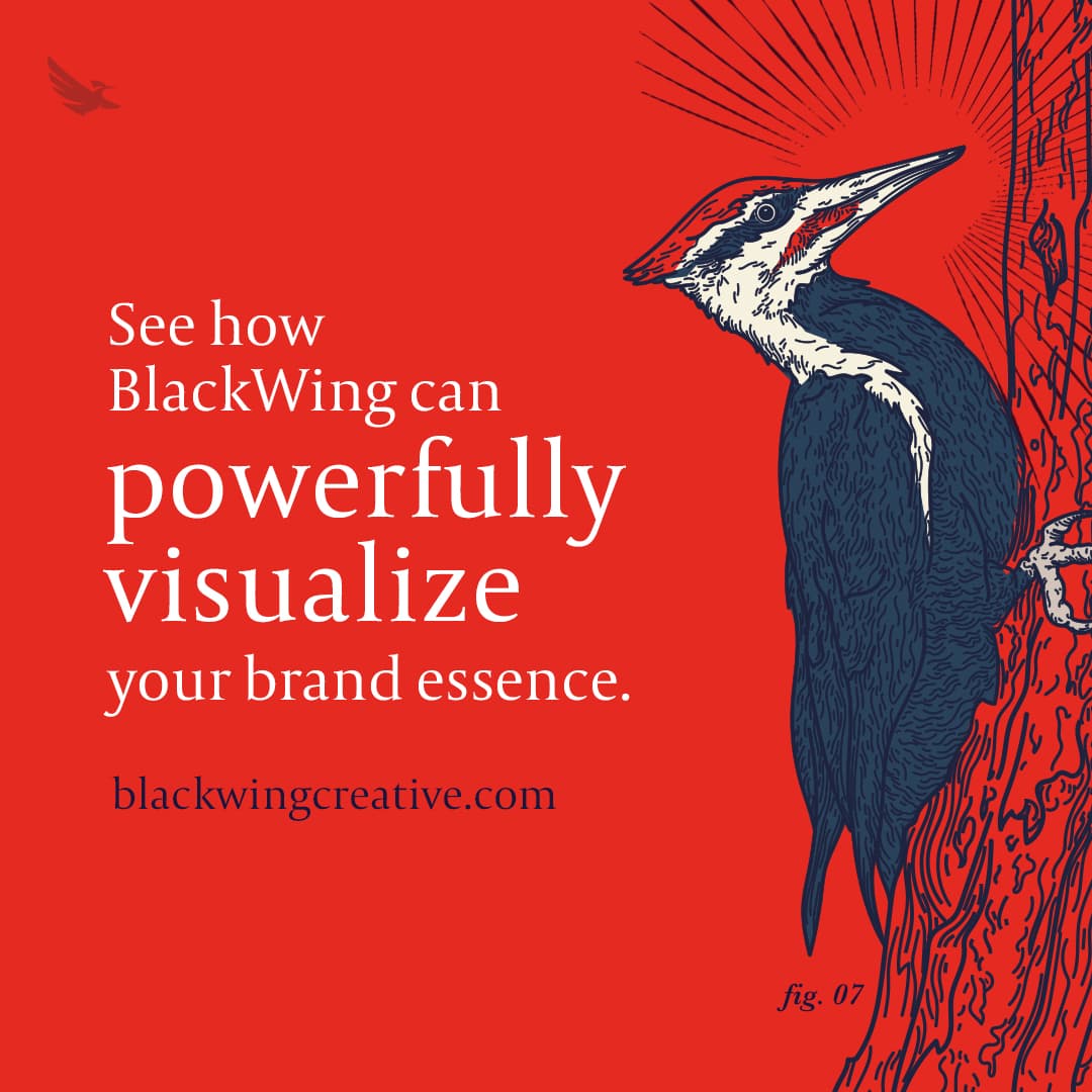 BlackWingB2B's tweet photo. Do marketers truly realize the importance of visuals in a communications-overload, TikTok-Reels-short-attention-span-driven world? Do you agree with the science? And if so, what measures are you taking? https://t.co/fs5x9kf1pu
...
#B2B #Copywriting #CMO #Design https://t.co/O8nDQJmATh