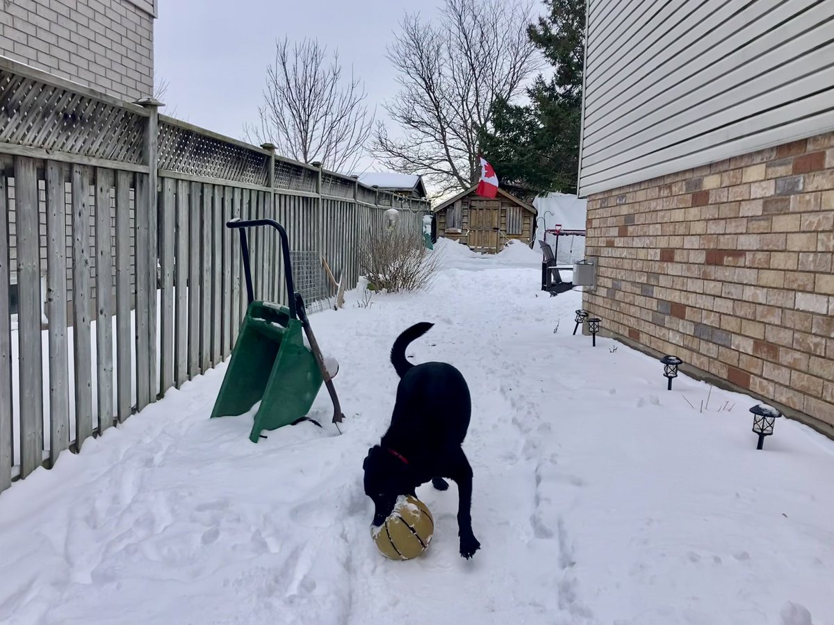 Jeff Hicks tweet media