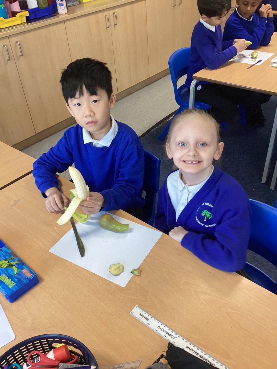 orchardsac's tweet image. #year3 chopping and peeling fruit for #designtechnology! Well done! 💚
@kapowprimary @greenheartLP
#learning #education #globalfoodcitizens
🍇 🍋🟩 🍌 🍐