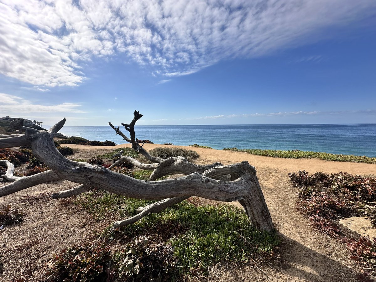 the_will_turner's tweet photo. Mid-Day surf check, no waves, but it’s gorgeous outside!! 

Hope all of you are having a wonderful day! 

#SurfCheck #Ocean #PositiveVibesOnly https://t.co/0d7rXWIXvi