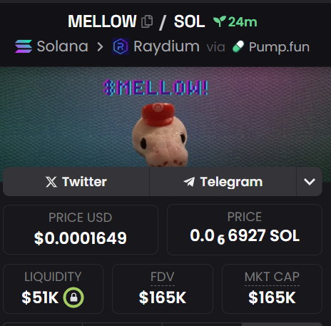 marshmallow_py's tweet image. DEX PAID!!!
Let's make this OUR YEAR!
