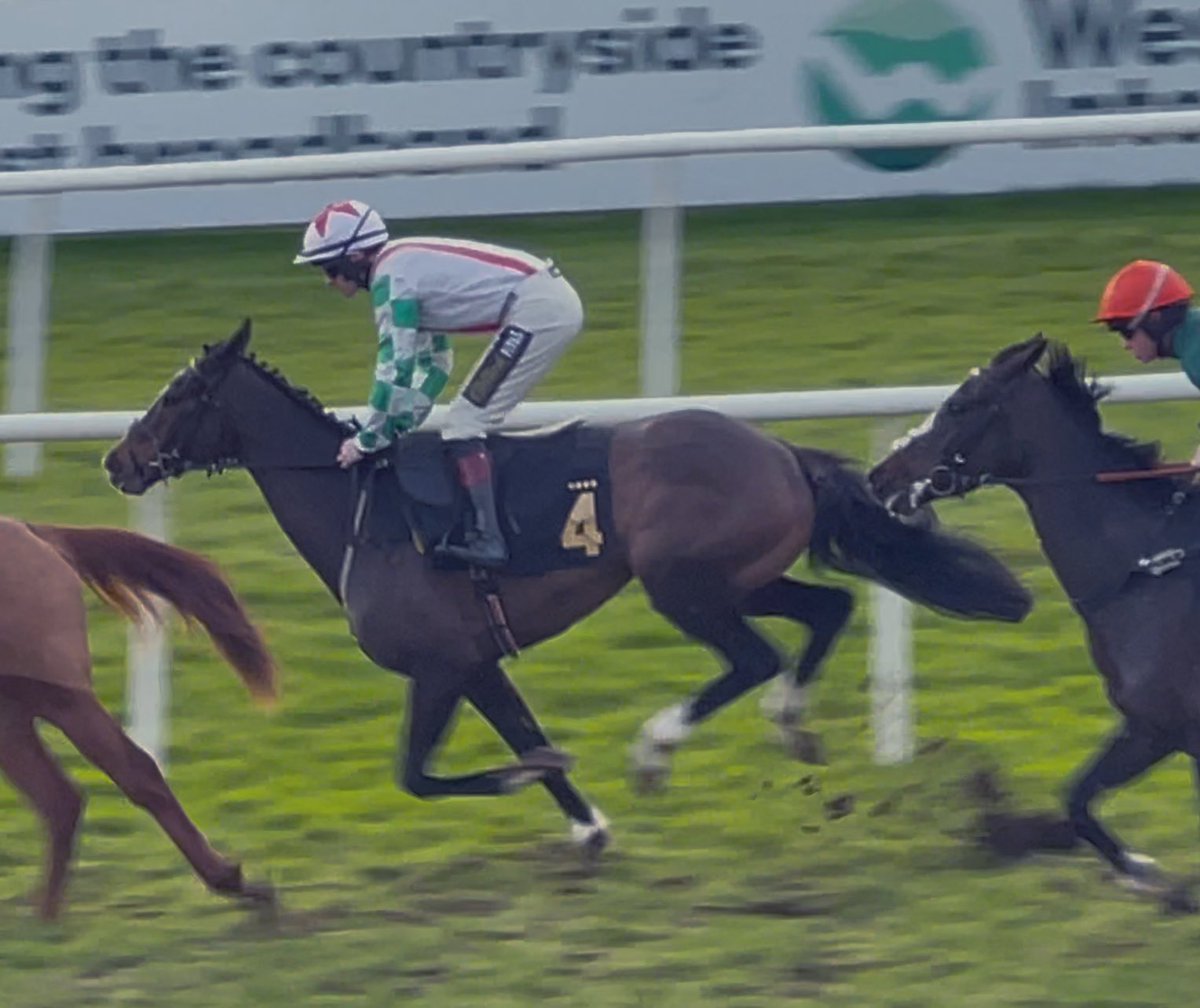 James & Jean Potter Ltd (@jandjpotterltd) on Twitter photo A lovely debut run from our homebred, Hill In Brazil, (Pether’s Moon ex Tara Potter) who finishes an extremely promising second behind £105k 3yo purchase There Runs Mary <a href="/wincantonraces/">Wincanton Racecourse</a>.
Hopefully a stepping stone to bigger things 🙏 #homebred #jumpracing A lovely debut run from our homebred, Hill In Brazil, (Pether’s Moon ex Tara Potter) who finishes an extremely promising second behind £105k 3yo purchase There Runs Mary <a href="/wincantonraces/">Wincanton Racecourse</a>.
Hopefully a stepping stone to bigger things 🙏 #homebred #jumpracing