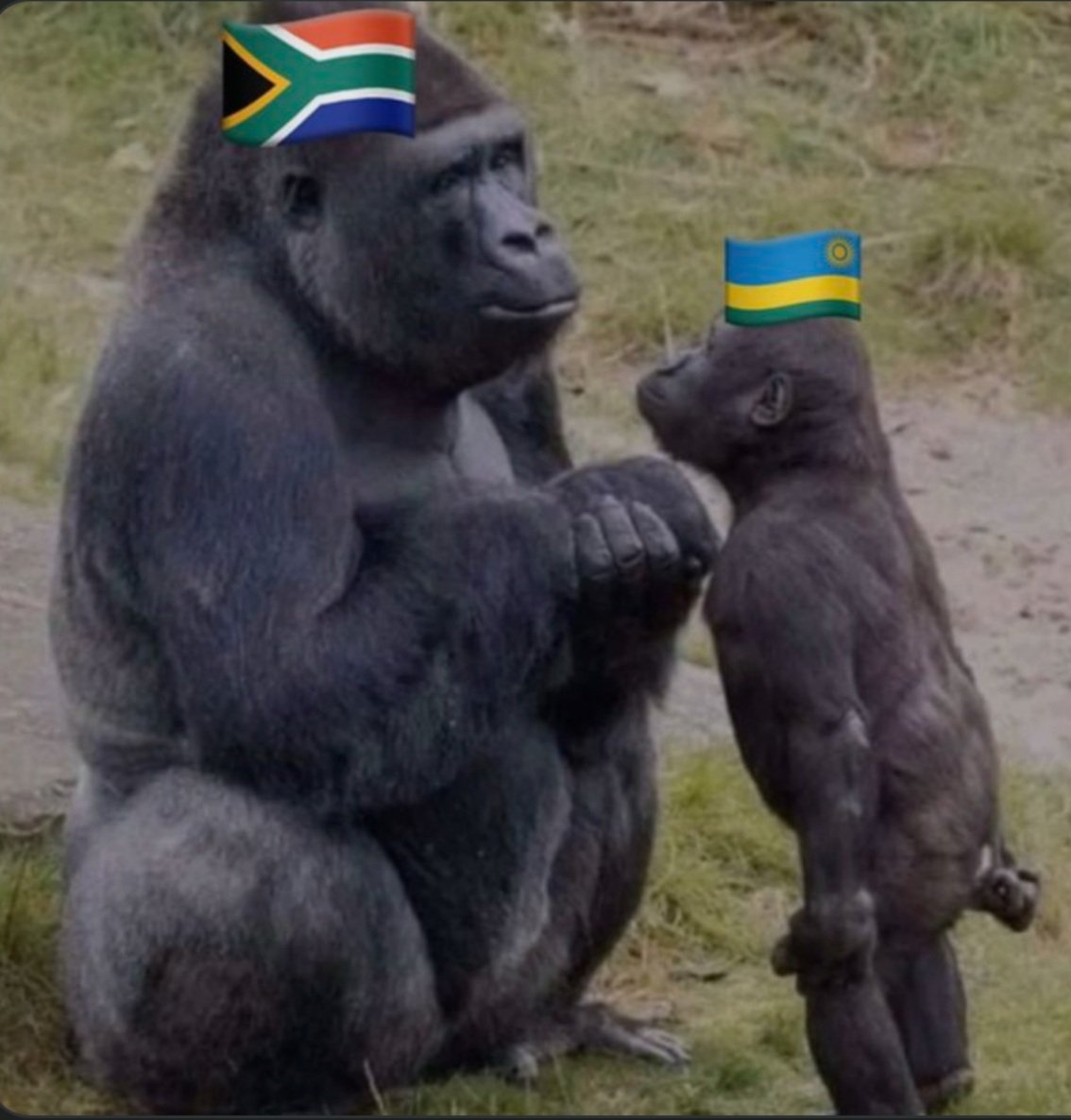 Si l’Afrique du Sud veut contribuer à des solutions pacifiques, c’est très bien, mais elle n’est pas en mesure de jouer le rôle de pacificateur ou de médiateur. Et si l’Afrique du Sud préfère la confrontation, le Rwanda s’occupera de la question dans ce contexte n’importe quand.