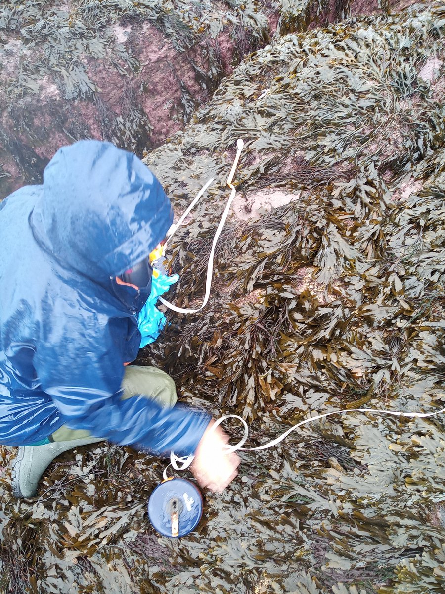 RosaChefaoui's tweet photo. Windy and rainy sampling today in Galicia #PERSIST #InterMaRest https://t.co/LZ9o8jeVel