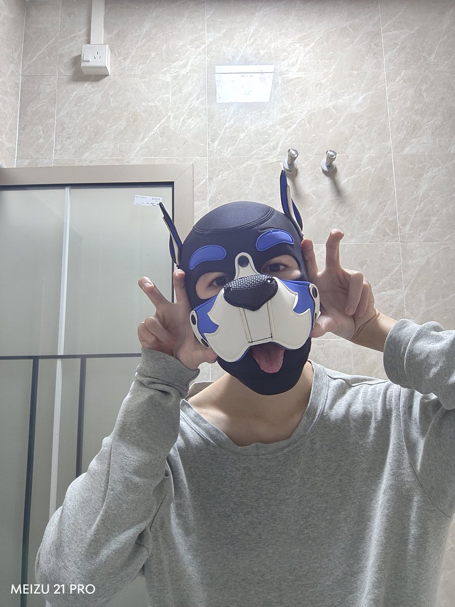 炮炮祝大家🐍年大吉 🐍🐍健康