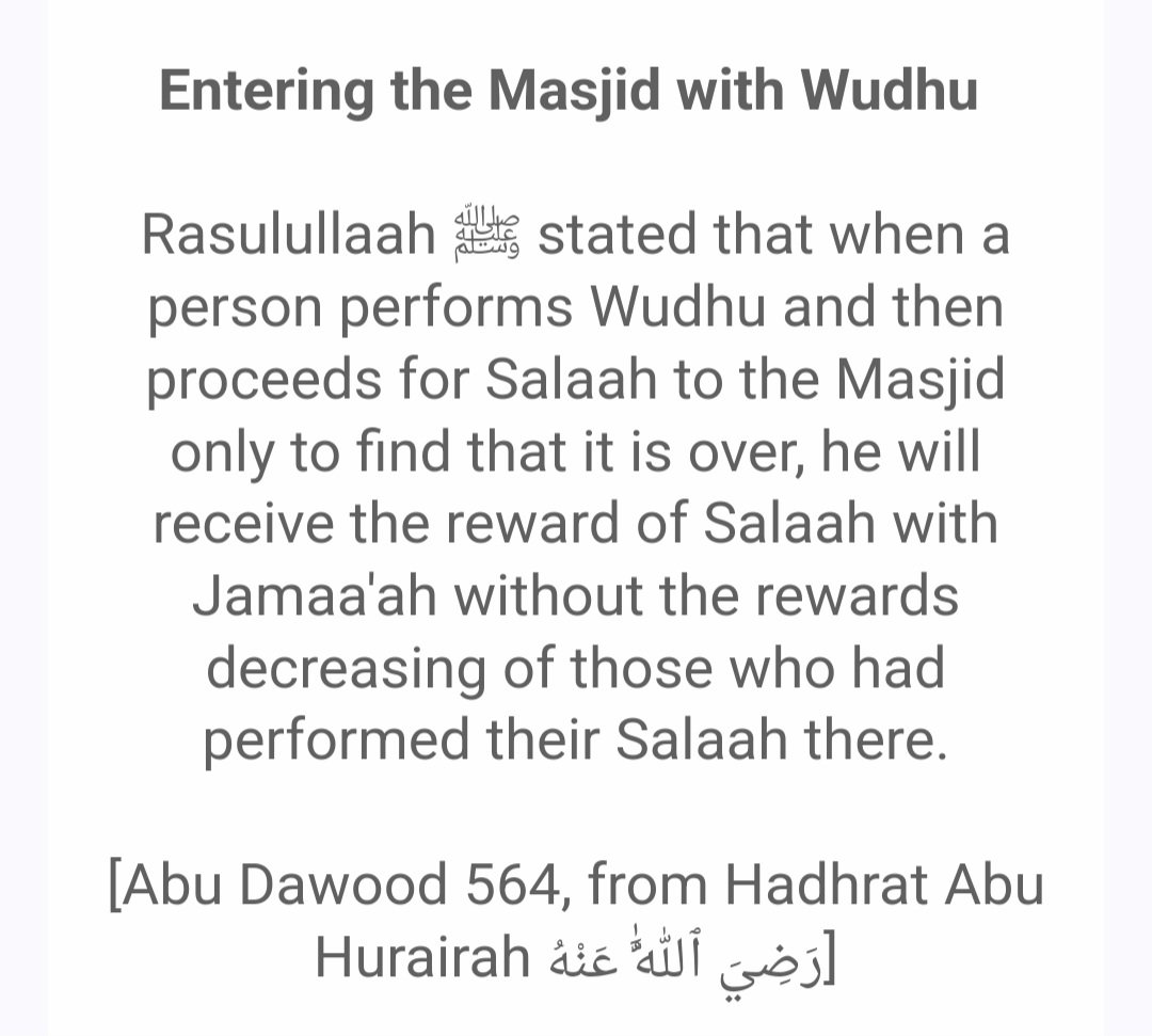 📚DAILY MADRASSA📚 tweet media
