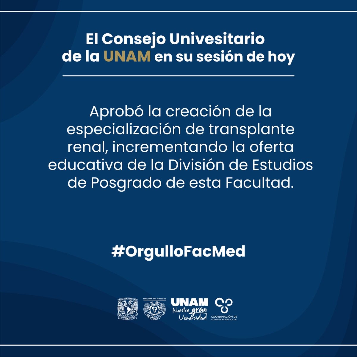 Ana Carolina Sepúlveda tweet media