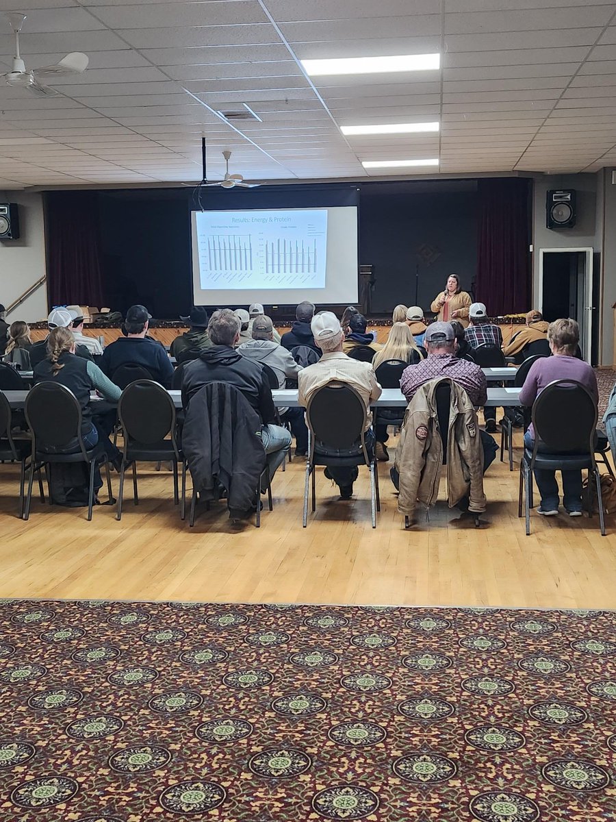 DrBart_Beef's tweet image. Great workshop Palliser Grazing Club - thanks for the invitation to present! #AppliedBeefForageResearch #LardnerLab