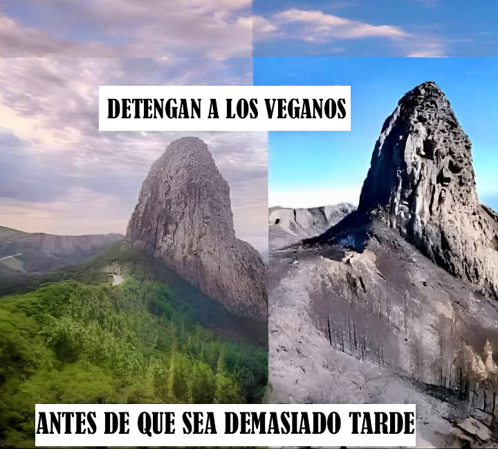 DROSS (@eldiariodedross) on Twitter photo 