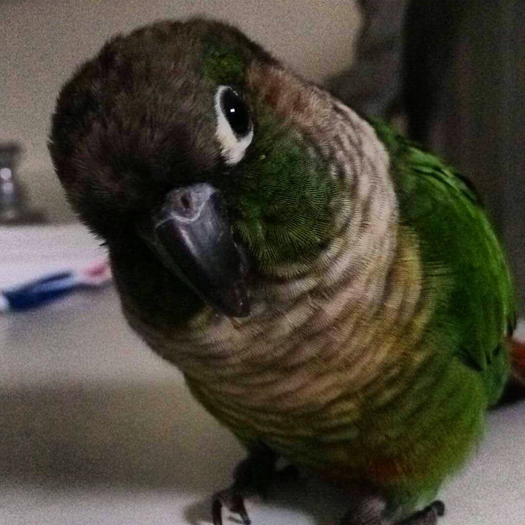 Audrey 🎄🎅🏻☃️ tweet media