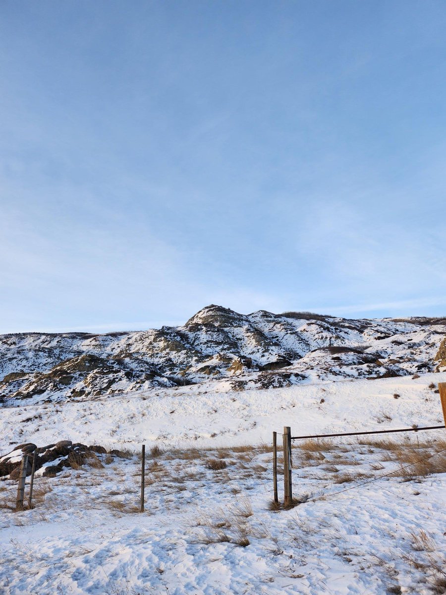DrBart_Beef's tweet image. Great workshop Palliser Grazing Club - thanks for the invitation to present! #AppliedBeefForageResearch #LardnerLab