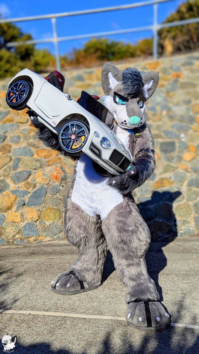 Cosmic the Husky tweet media