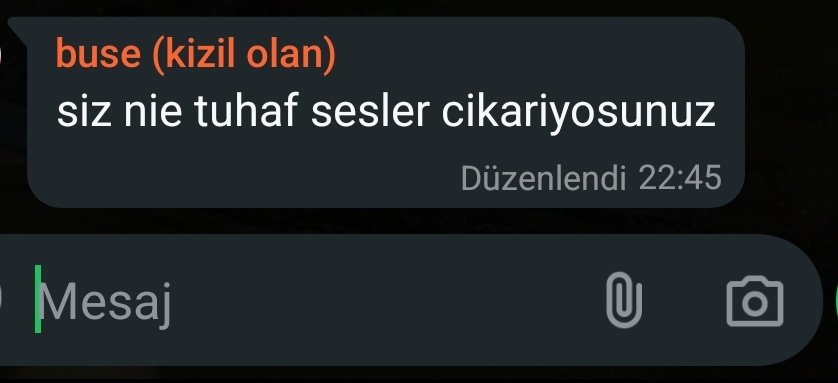 tiktoktaki hayvan sesi cikarmali oyunu oynarken yakalandik.